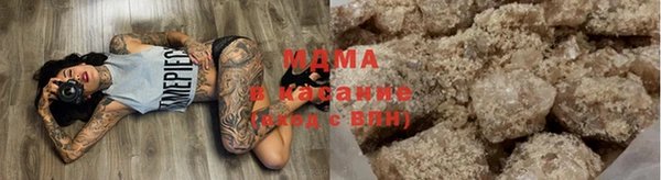 индика Елабуга