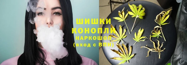 индика Елабуга