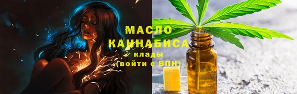 индика Елабуга