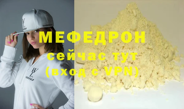 индика Елабуга