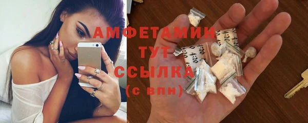 индика Елабуга