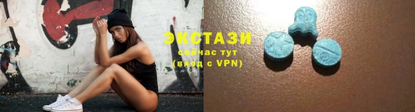 МДПВ Ельня