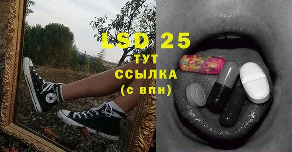 винт Елизово