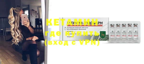 индика Елабуга