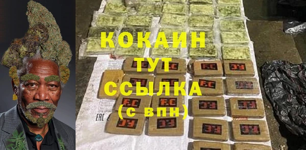 индика Елабуга