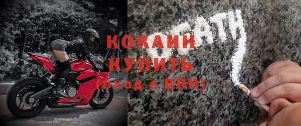 индика Елабуга