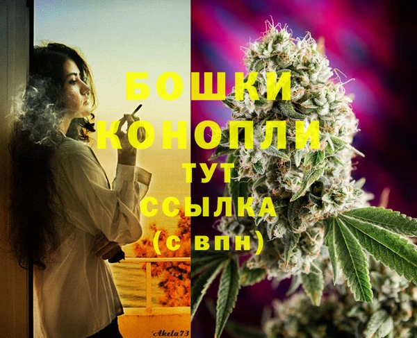 индика Елабуга