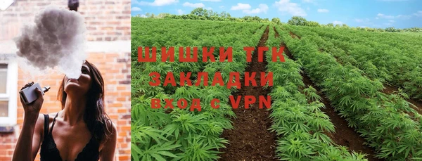 МДПВ Ельня