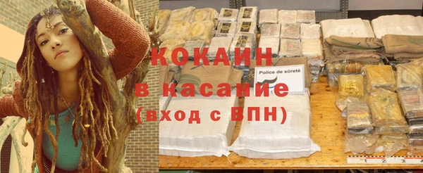 МДПВ Ельня