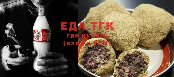 индика Елабуга