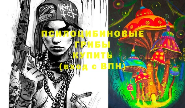 индика Елабуга