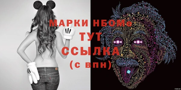 МДПВ Ельня