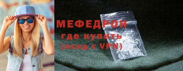 индика Елабуга