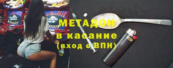 индика Елабуга