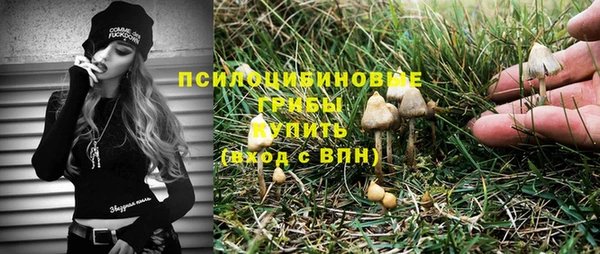 МДПВ Ельня