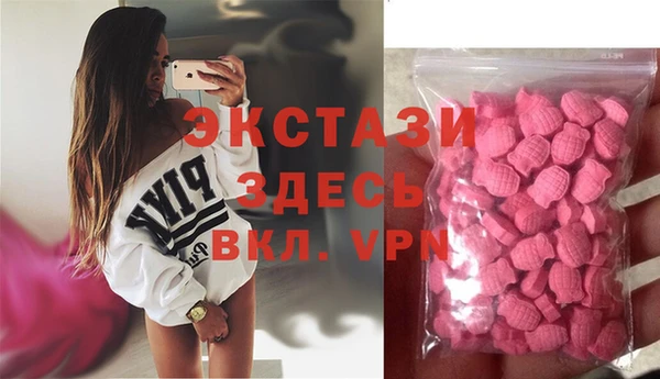 индика Елабуга