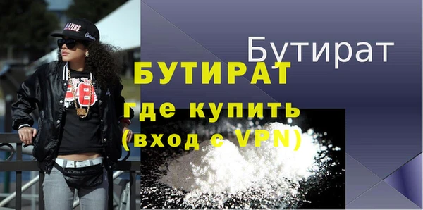 индика Елабуга