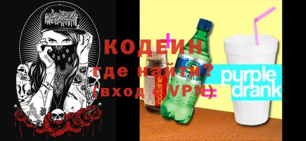 индика Елабуга