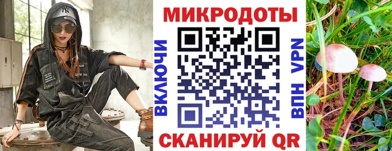 Псилоцибиновые грибы Psilocybe  Купить закладки  Кирово-Чепецк 